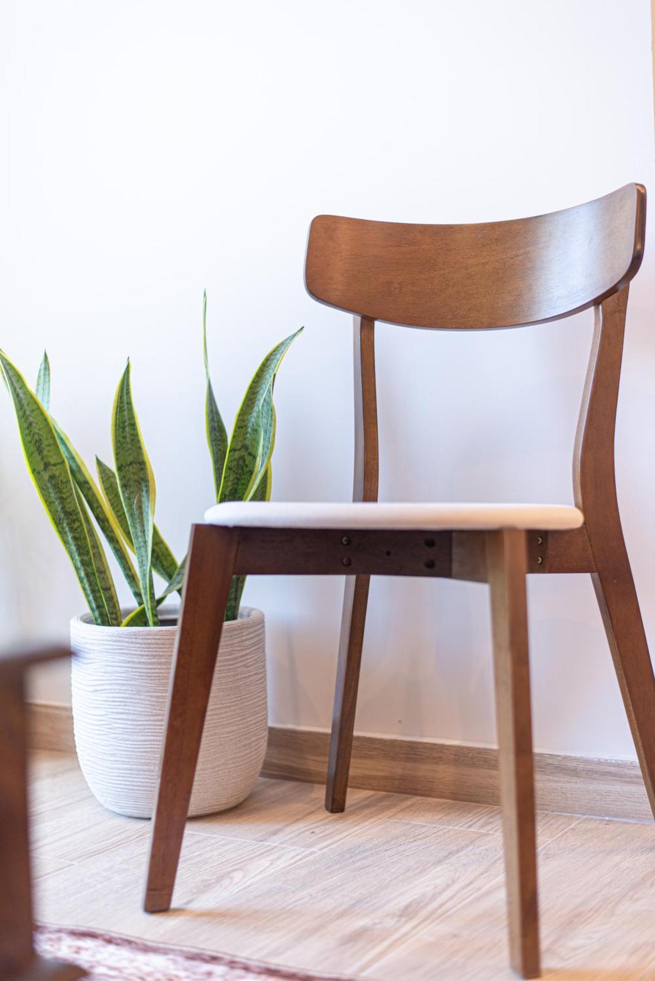 Kanela Apartment Oinofyta Luaran gambar