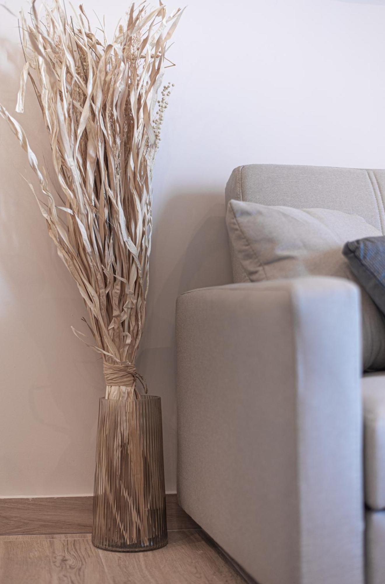 Kanela Apartment Oinofyta Luaran gambar
